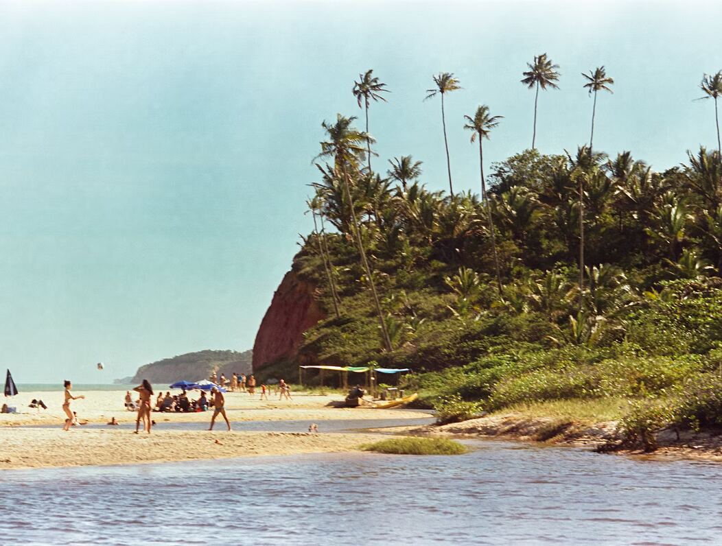 Praia de Cumuruxatiba cercada de coqueiros